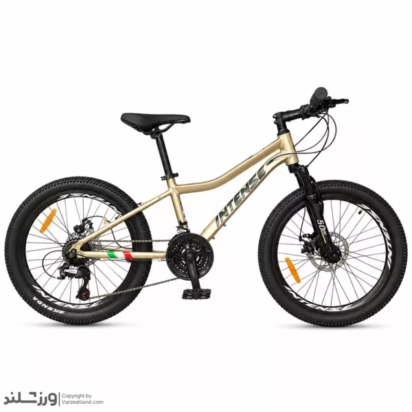 دوچرخه 24 اینتنس CV100 تنه خم طلایی